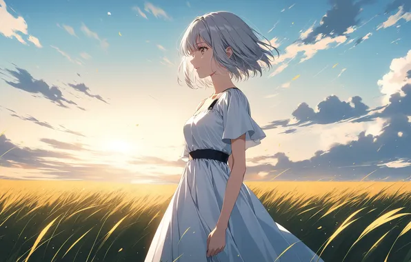 Field, girl, the sun, anime, girl, field, woman, anime