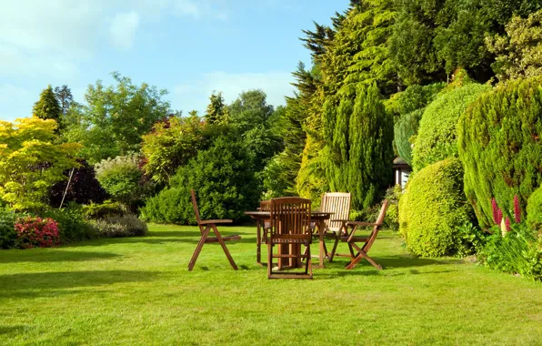 Greens, grass, trees, table, lawn, garden, chair, Sunny