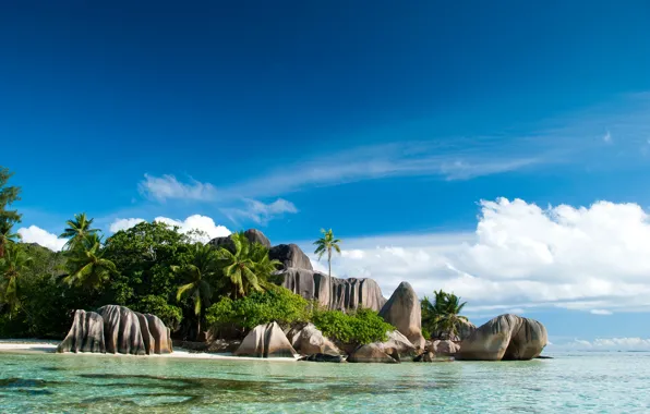 Sea, water, Islands, palm trees, the ocean, rocks, Seychelles