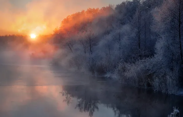 Picture winter, trees, fog, river, dawn