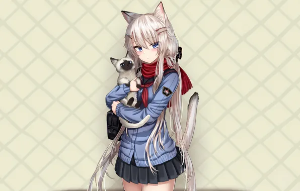 Girl, long hair, animal ears, anime, cat, blue eyes, beautiful, pretty