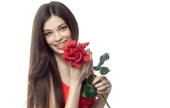 Picture white, flower, look, girl, smile, background, rose