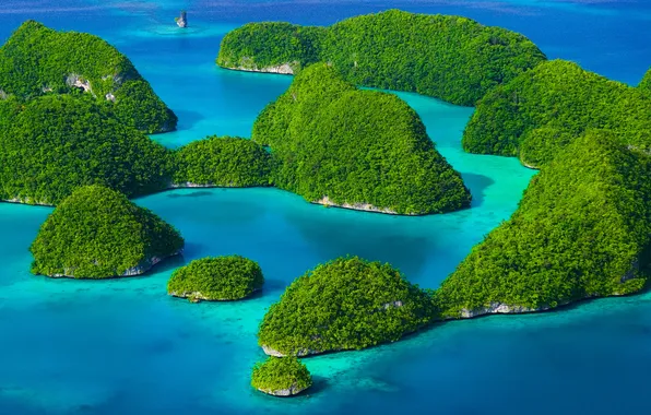 Sea, greens, island, Rock island Palau