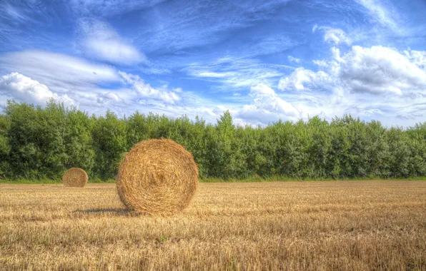 Picture the sky, clouds, trees, field, shadow, harvest, hay, the countryside