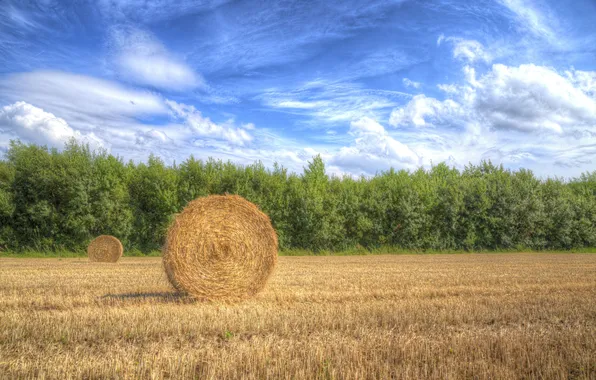 The sky, clouds, trees, field, shadow, harvest, hay, the countryside