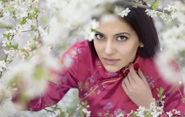 Woman, beauty, face, Lady