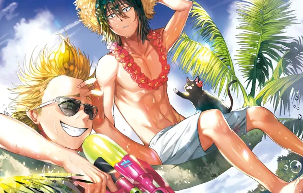 Beach, summer, cat, anime, art, guys, Boku no Hero Academy, My hero Academy