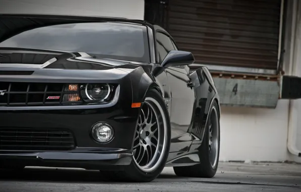 Picture Camaro, Cevrole