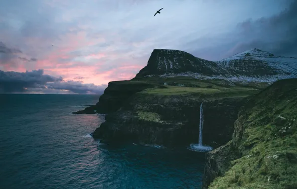 Sea, mountains, the ocean, rocks, bird, waterfall, village, Faroe Islands