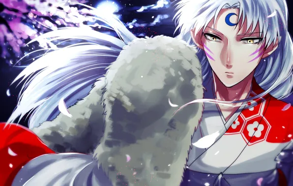 Look, the demon, Inuyasha, Seshoumaru