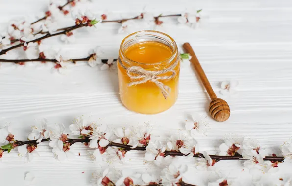 Flowers, branches, honey