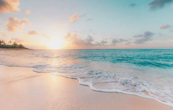 Sand, sea, beach, water, the sun, nature, the ocean, coast