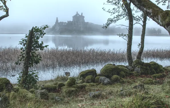 Grass, water, trees, fog, river, stones, castle, moss
