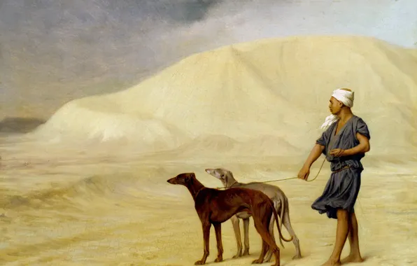 Sand, dogs, nature, picture, barkhan, Jean-Leon Gerome, In The Desert