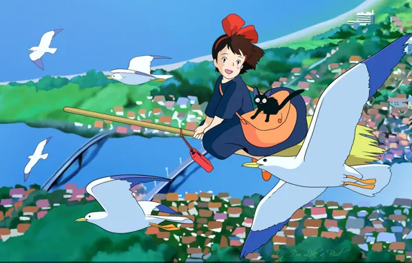 Flight, bridge, river, seagulls, roof, broom, black cat, Kiki's delivery service