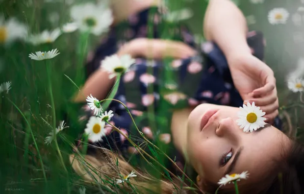 Picture look, girl, flowers, face, mood, chamomile, Denis Lankin