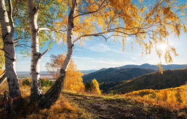 Picture autumn, the sun, trees, mountains, beauty
