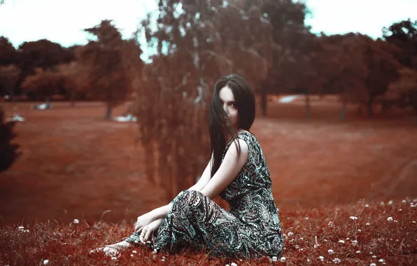 Girl, trees, glade, dress, brunette, hairstyle, sitting, on the grass