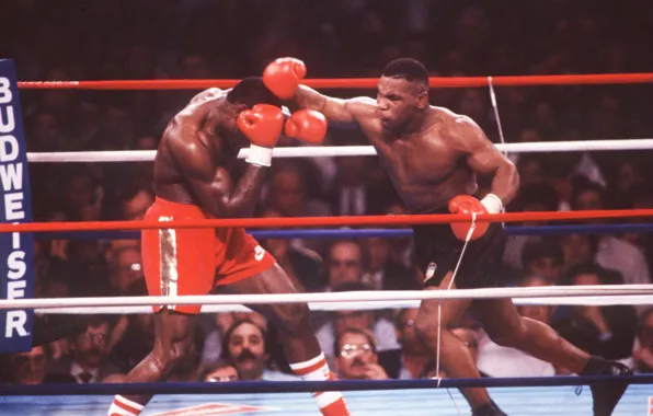 Boxing, Mike Tyson, Tyson