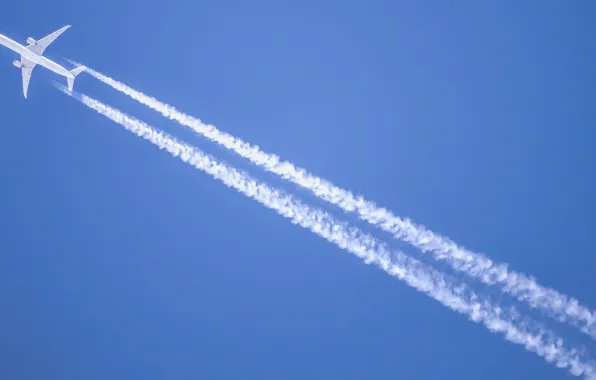The sky, trail, the plane