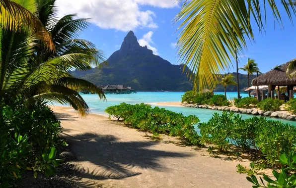 Beach, tropics, palm trees, mountain, Bungalow