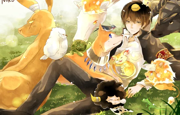 Animals, animals, guy, Katekyo Hitman reborn, Hibari Kyoya, Teacher mafia Reborn