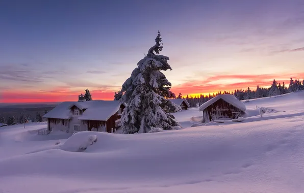 Winter, the sky, snow, landscape, nature, house, house, white