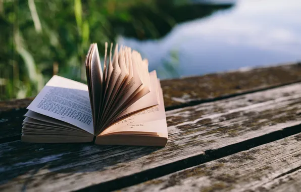 Grass, water, nature, plants, pier, book, different