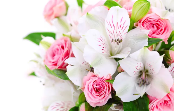 Picture flowers, roses, bouquet, pink, white, orchids