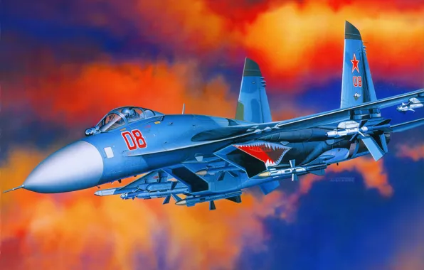 Picture aviation, fighter, the plane, Russian, RUSSIAN AIR FORCE, su-27