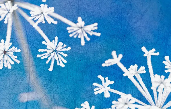 Picture background, color, texture