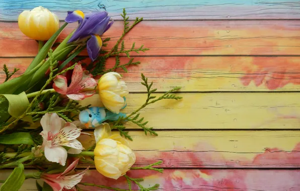 Flowers, tulips, bird, irises, widescreen, background, фон background, the Wallpapers
