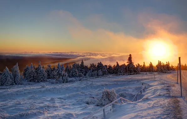 Picture Schnee, Berg, Brocken, Clouds, Morgen, Fog, Ice, Sunrise