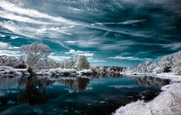 Picture winter, the sky, water, clouds, snow, trees, landscape, river