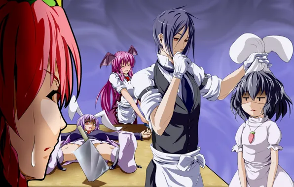 Costume, gloves, ears, cleaver, apron, Dark Butler, Kuroshitsuji, Sebastian Michaelis
