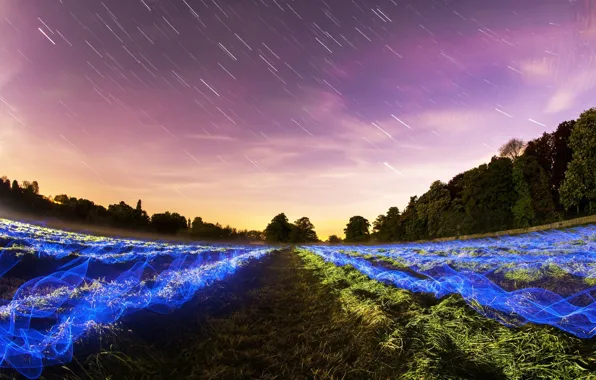 Field, stars, night, nature, field, nature, night, stars