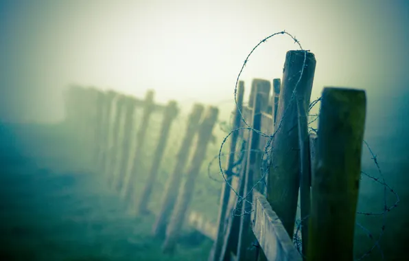 Macro, fog, the fence, haze, barbed, wire
