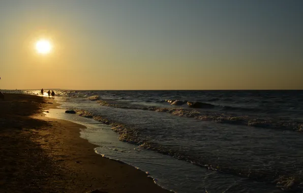 Sea, summer, water, the sun, sunset