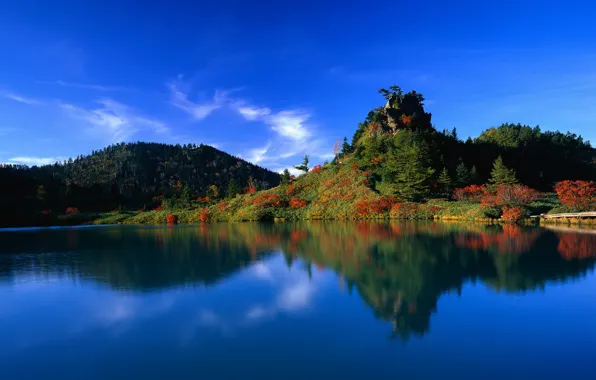 Picture forest, water, lake, reflection, Japan