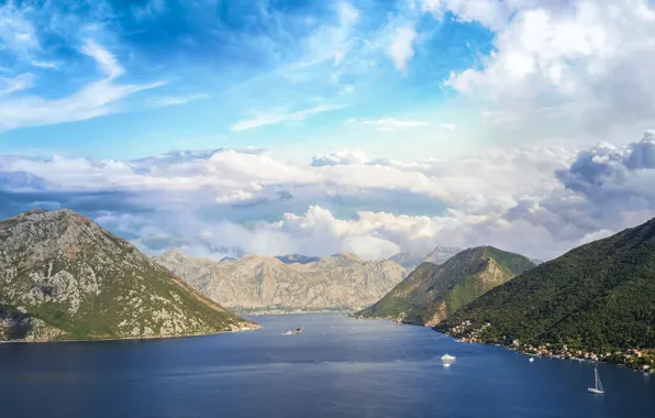 Sea, forest, the sky, clouds, mountains, fog, rocks, blue