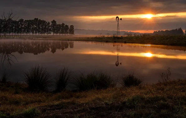 Night, nature, river