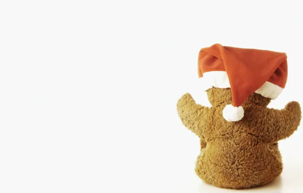 Holiday, hat, bear, bear, light background, teddy