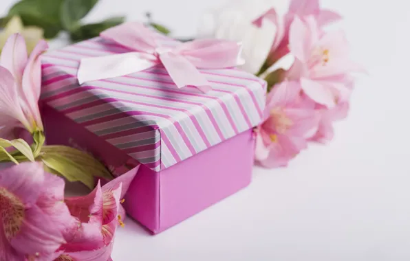 Picture flowers, gift, Lily, tape, pink, pink, flowers, romantic