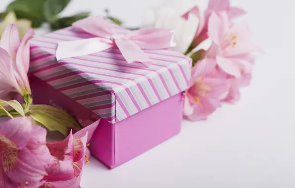 Flowers, gift, Lily, tape, pink, pink, flowers, romantic