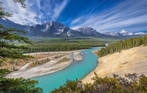 Forest, mountains, river, Canada, Albert, Alberta, Canada, Jasper National Park