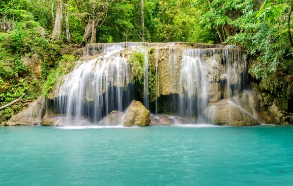 beautiful cascade comes out of a forest river Free Photo Download
