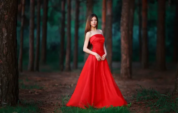 Picture forest, look, figure, in red, Lady in Red