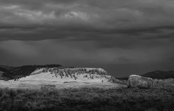 Forest, clouds, rain, hills, stone, Meadow, monochrome