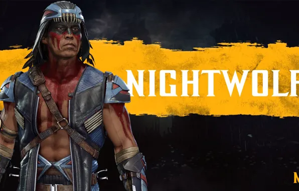 Fighter, Indian, MK11, Nightwolf, Night Wolf, Mortal Kombat 11, Mortal Kombat 11, Gray Cloud