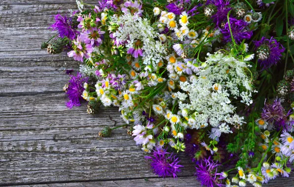 Picture background, Board, Bouquet, Wild flowers